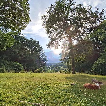 Maison Canadienne Dans La Foret Tourville-sur-Pont-Audemer エクステリア 写真