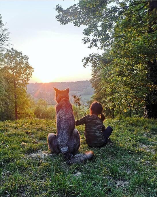 Maison Canadienne Dans La Foret Tourville-sur-Pont-Audemer エクステリア 写真